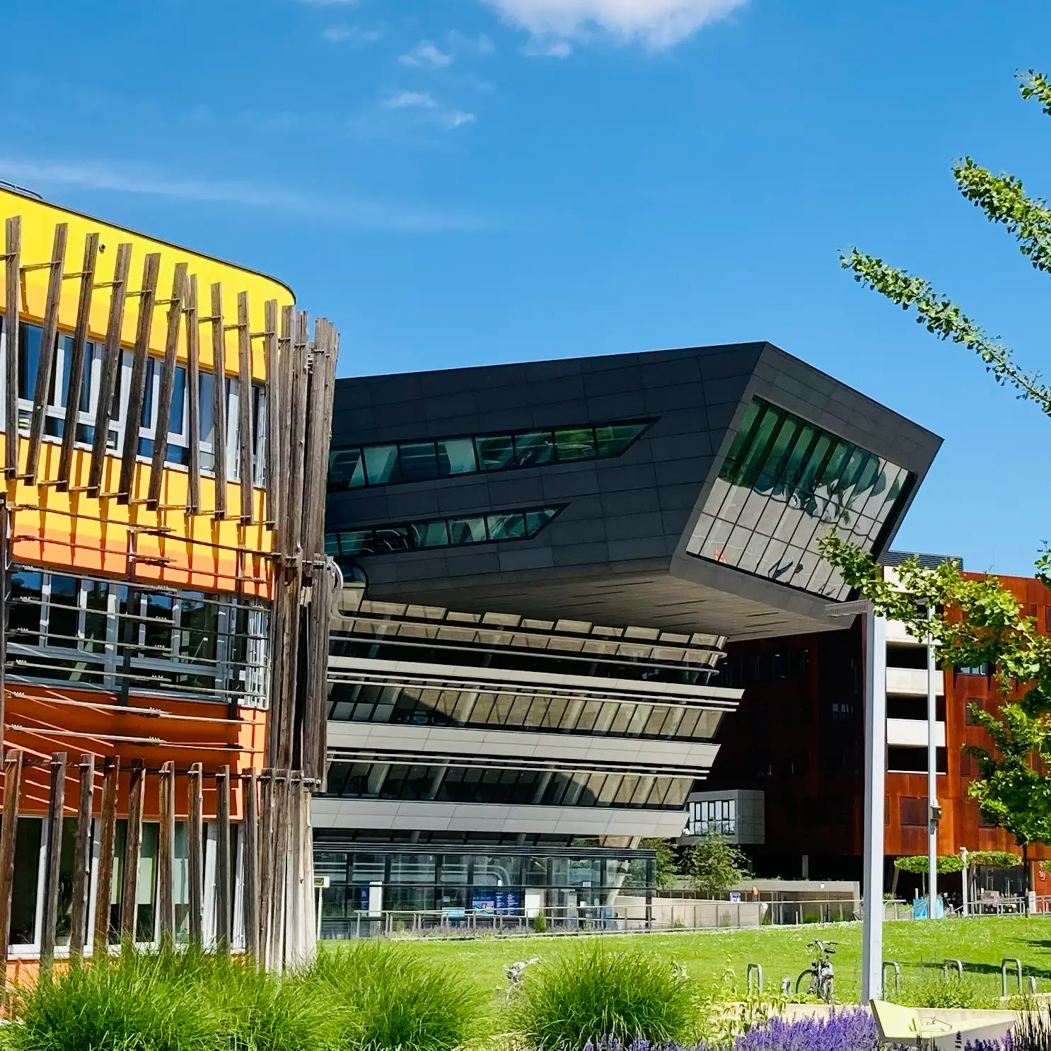 Campus of WU Vienna University of Economics and Business. Photo: Josef Kolbitsch.